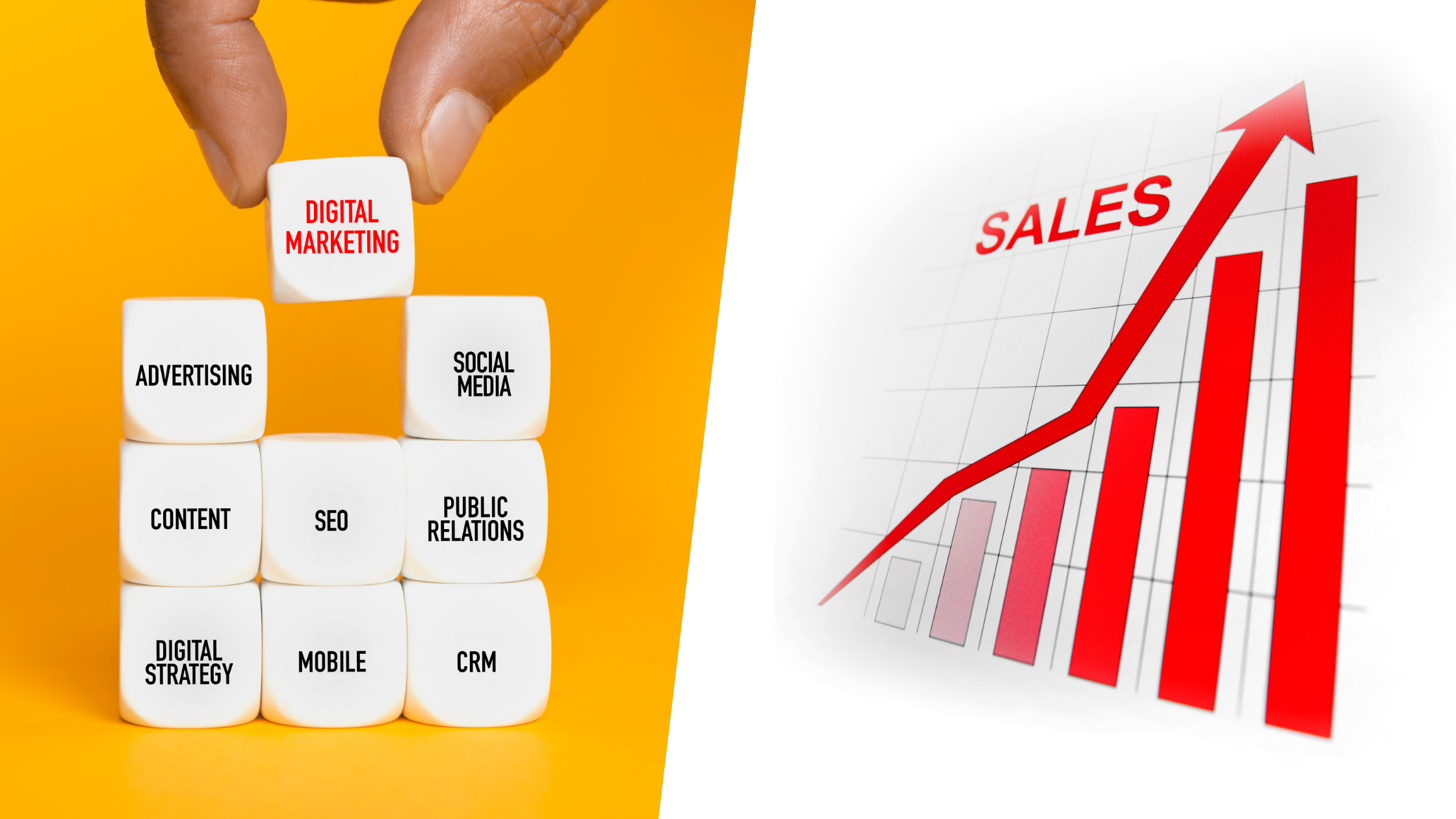 The Differences between Sales and Marketing